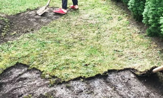 Снятие дерна старого газона в Уфе – от 515 руб. | 2Землекопа-Уфа
